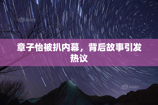 章子怡被扒内幕，背后故事引发热议