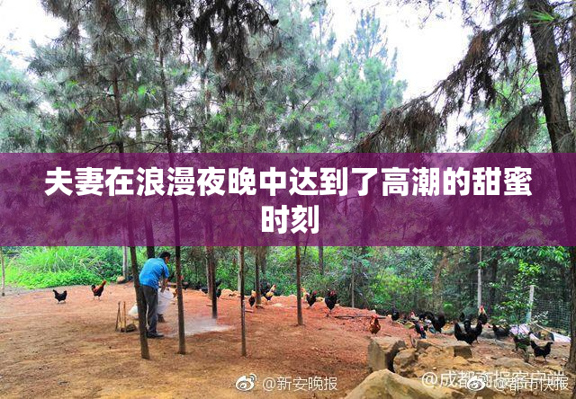 夫妻在浪漫夜晚中达到了高潮的甜蜜时刻