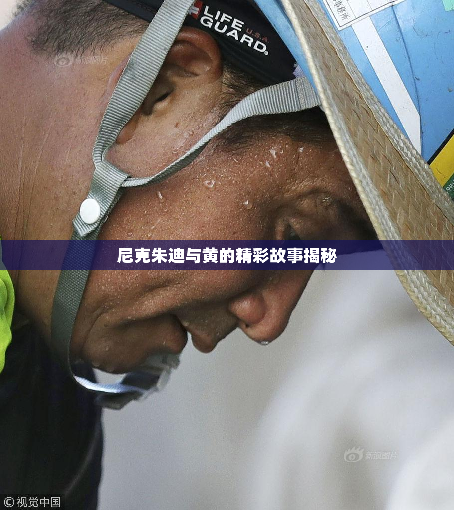 尼克朱迪与黄的精彩故事揭秘