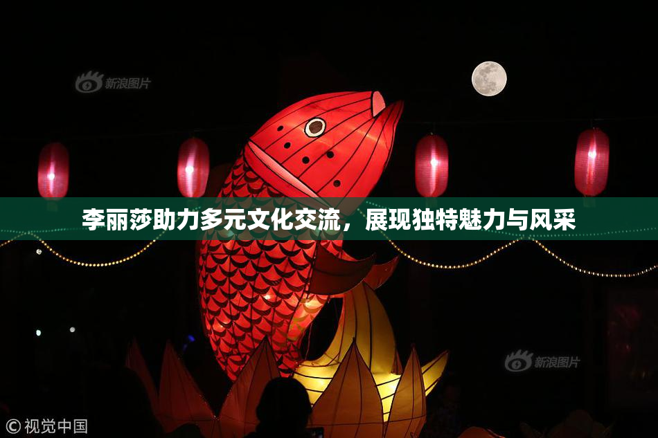 李丽莎助力多元文化交流，展现独特魅力与风采