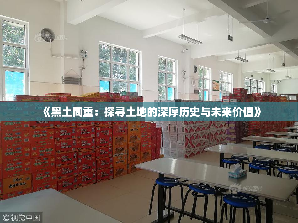 《黑土同重：探寻土地的深厚历史与未来价值》