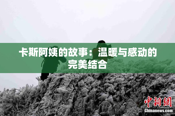 卡斯阿姨的故事：温暖与感动的完美结合