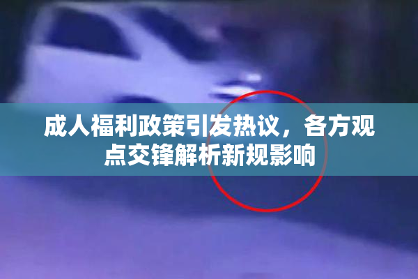 成人福利政策引发热议，各方观点交锋解析新规影响