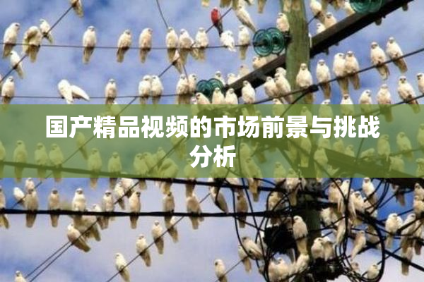 国产精品视频的市场前景与挑战分析