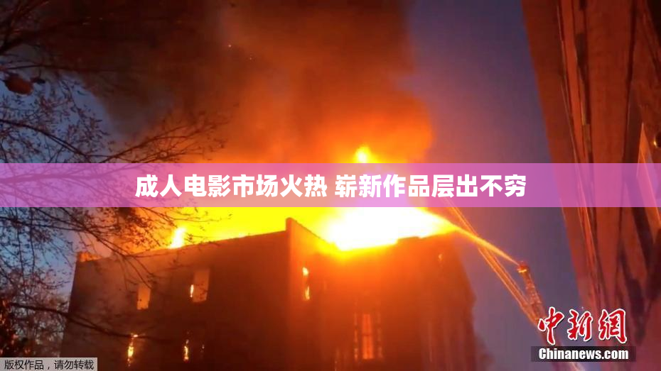 成人电影市场火热 崭新作品层出不穷