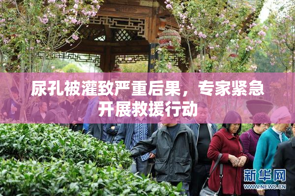 尿孔被灌致严重后果，专家紧急开展救援行动