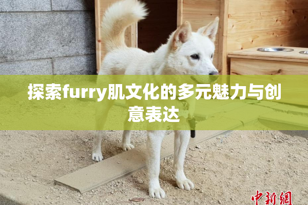 探索furry肌文化的多元魅力与创意表达