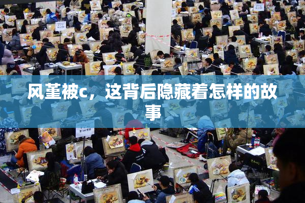 风堇被c，这背后隐藏着怎样的故事