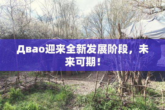Двао迎来全新发展阶段，未来可期！