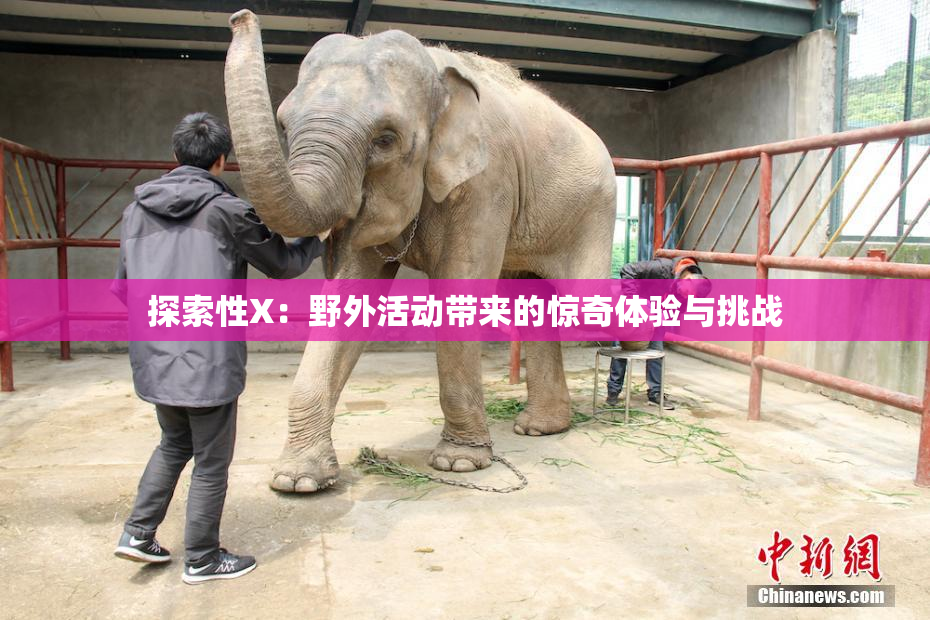 探索性X：野外活动带来的惊奇体验与挑战