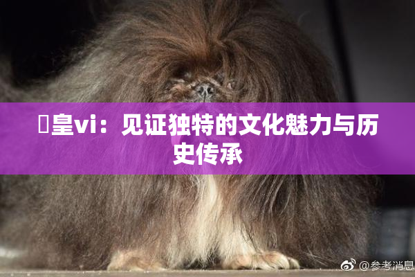 嘼皇vi：见证独特的文化魅力与历史传承