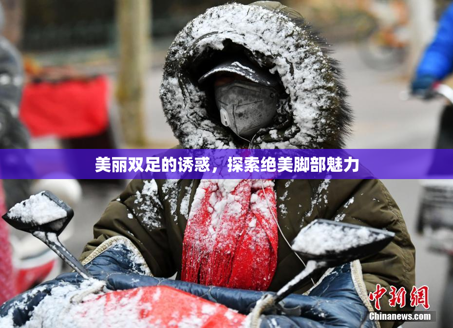 美丽双足的诱惑，探索绝美脚部魅力