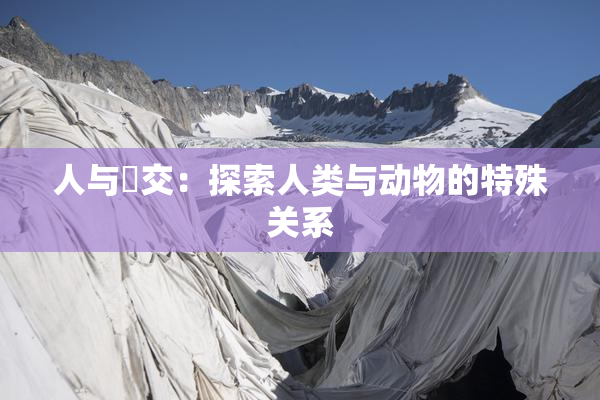 人与嘼交：探索人类与动物的特殊关系