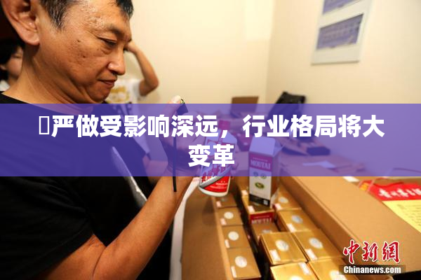 囯严做受影响深远，行业格局将大变革