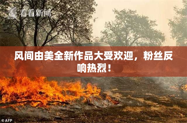 风间由美全新作品大受欢迎，粉丝反响热烈！