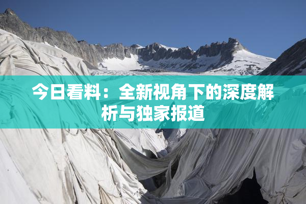 今日看料：全新视角下的深度解析与独家报道