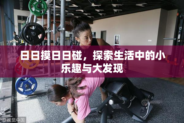 日日摸日日碰，探索生活中的小乐趣与大发现