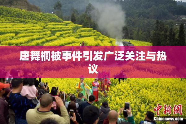 唐舞桐被事件引发广泛关注与热议