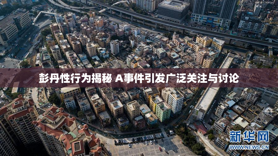 彭丹性行为揭秘 A事件引发广泛关注与讨论