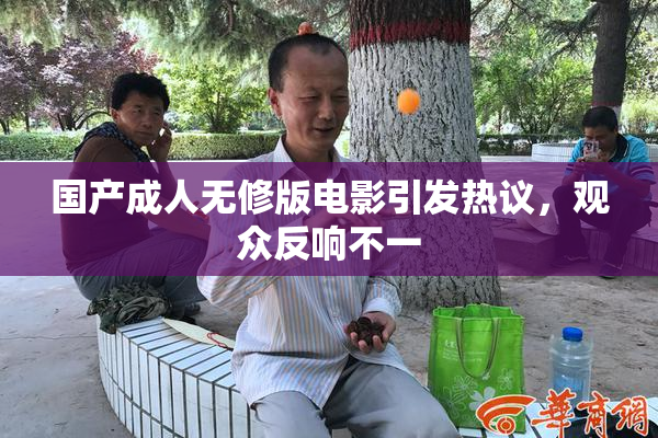 国产成人无修版电影引发热议，观众反响不一