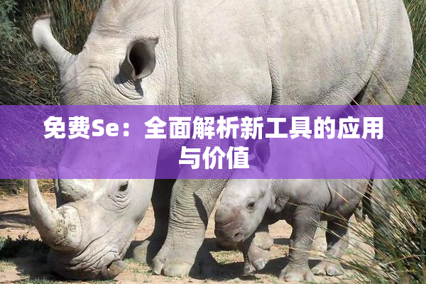 免费Se：全面解析新工具的应用与价值