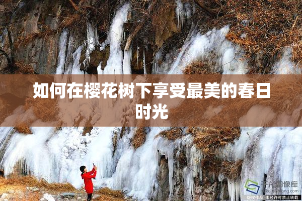 如何在樱花树下享受最美的春日时光