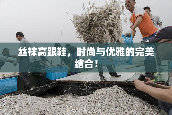 丝袜高跟鞋，时尚与优雅的完美结合！