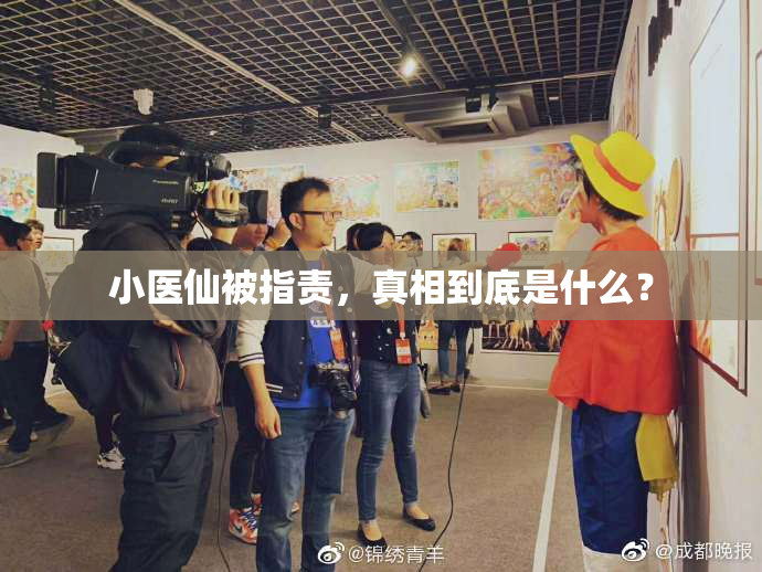 小医仙被指责，真相到底是什么？