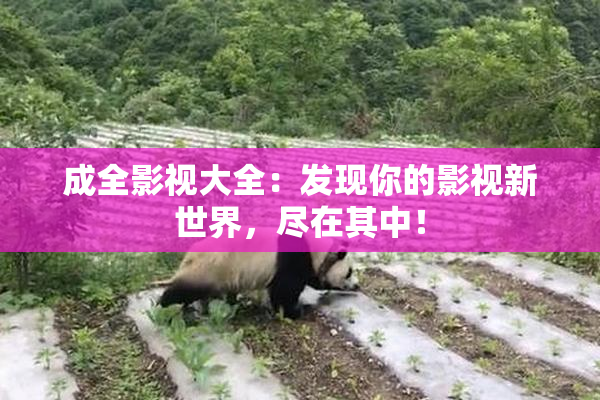 成全影视大全：发现你的影视新世界，尽在其中！