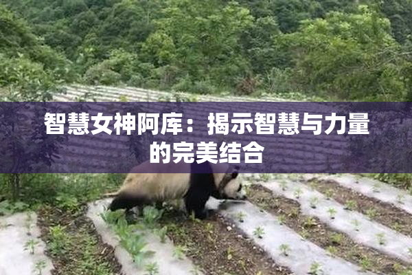 智慧女神阿库：揭示智慧与力量的完美结合