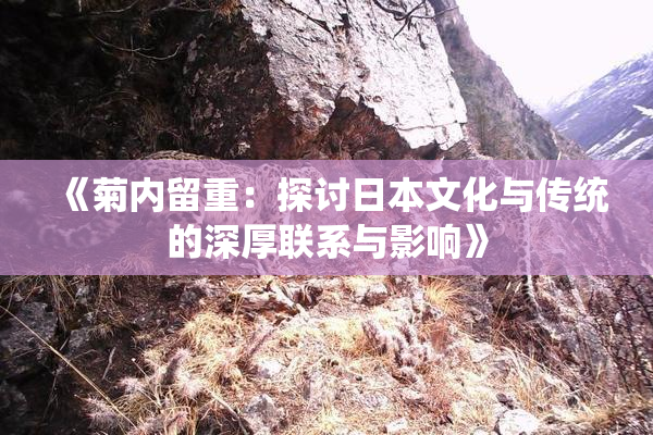 《菊内留重：探讨日本文化与传统的深厚联系与影响》