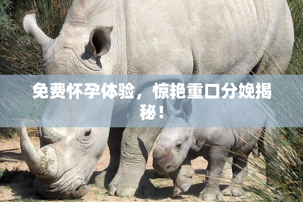 免费怀孕体验，惊艳重口分娩揭秘！