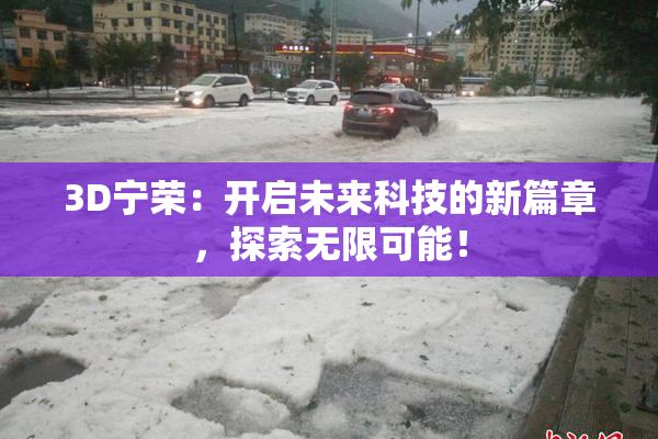 3D宁荣：开启未来科技的新篇章，探索无限可能！