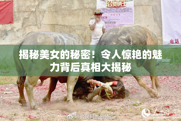 揭秘美女的秘密！令人惊艳的魅力背后真相大揭秘