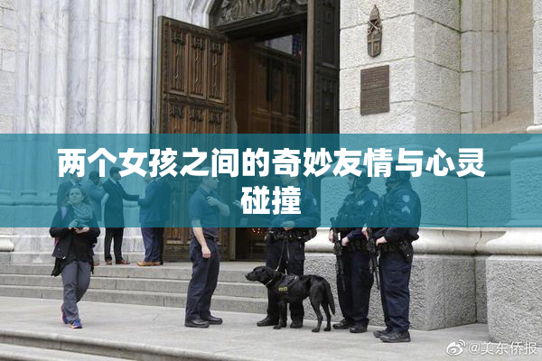 两个女孩之间的奇妙友情与心灵碰撞