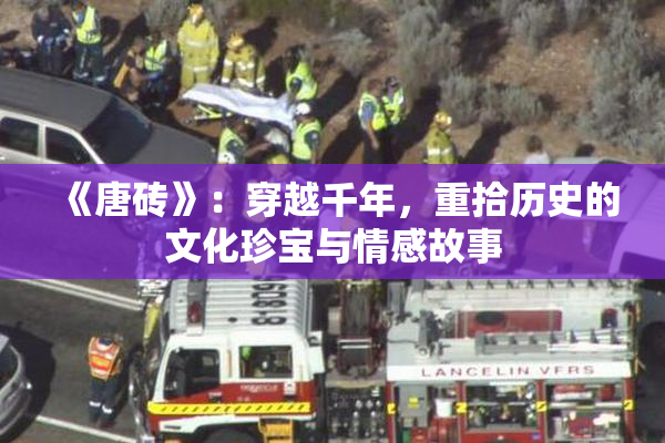 《唐砖》：穿越千年，重拾历史的文化珍宝与情感故事