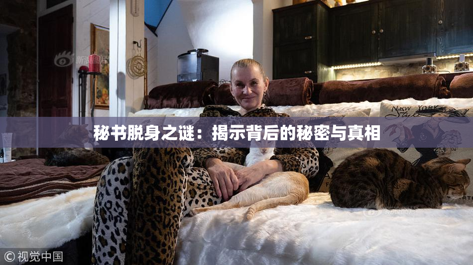 秘书脱身之谜：揭示背后的秘密与真相
