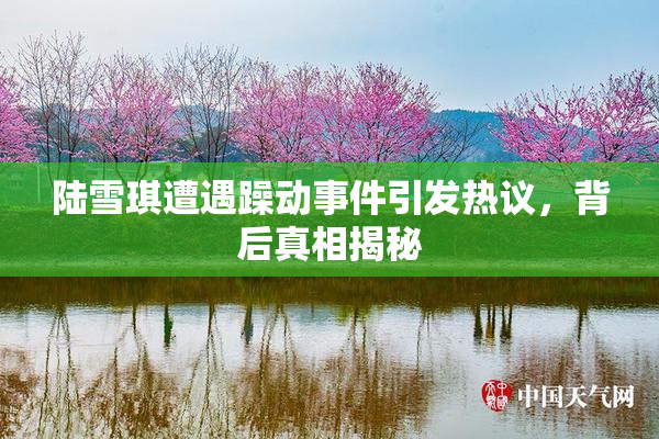 陆雪琪遭遇躁动事件引发热议，背后真相揭秘