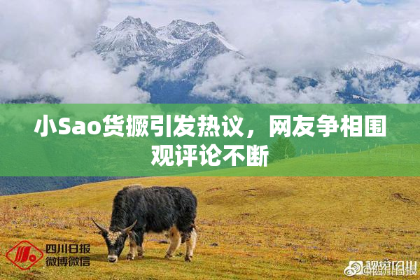 小Sao货撅引发热议，网友争相围观评论不断