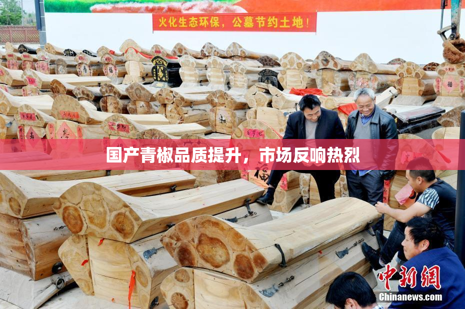 国产青椒品质提升，市场反响热烈