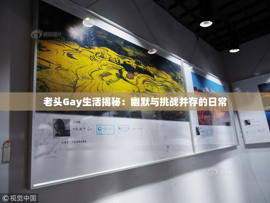 老头Gay生活揭秘：幽默与挑战并存的日常