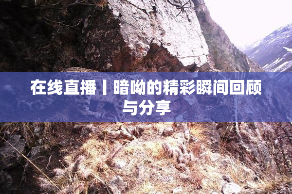 在线直播丨暗呦的精彩瞬间回顾与分享