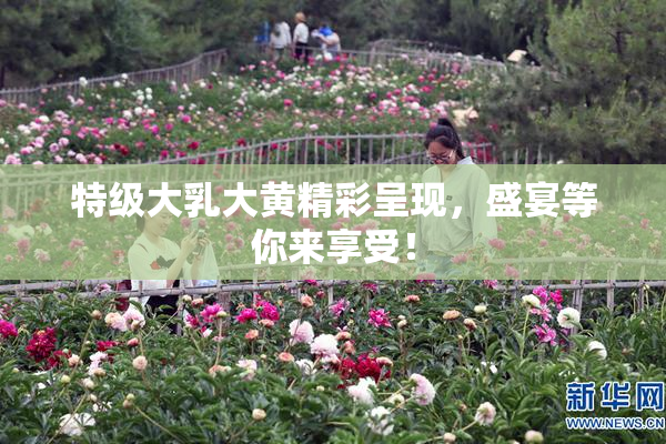 特级大乳大黄精彩呈现，盛宴等你来享受！
