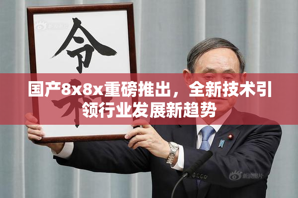 国产8x8x重磅推出，全新技术引领行业发展新趋势