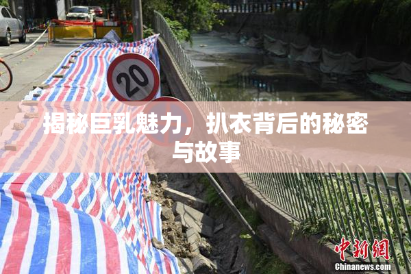 揭秘巨乳魅力，扒衣背后的秘密与故事