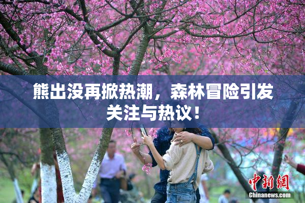 熊出没再掀热潮，森林冒险引发关注与热议！