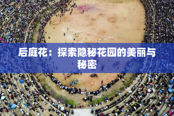 后庭花：探索隐秘花园的美丽与秘密