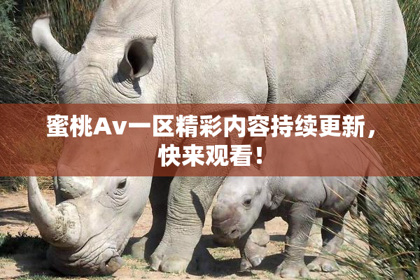 蜜桃Av一区精彩内容持续更新，快来观看！