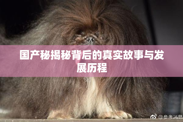 国产秘揭秘背后的真实故事与发展历程