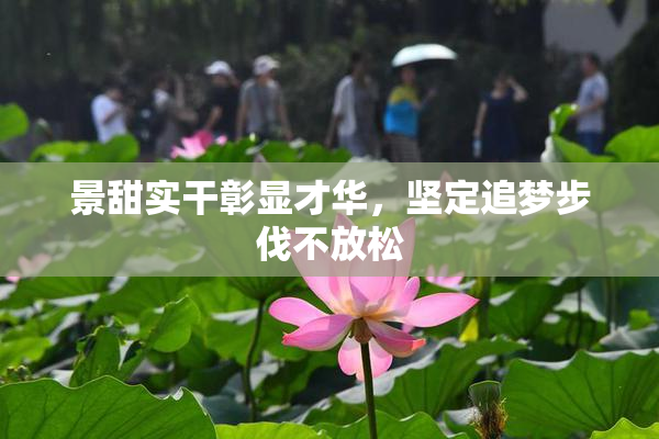 景甜实干彰显才华，坚定追梦步伐不放松